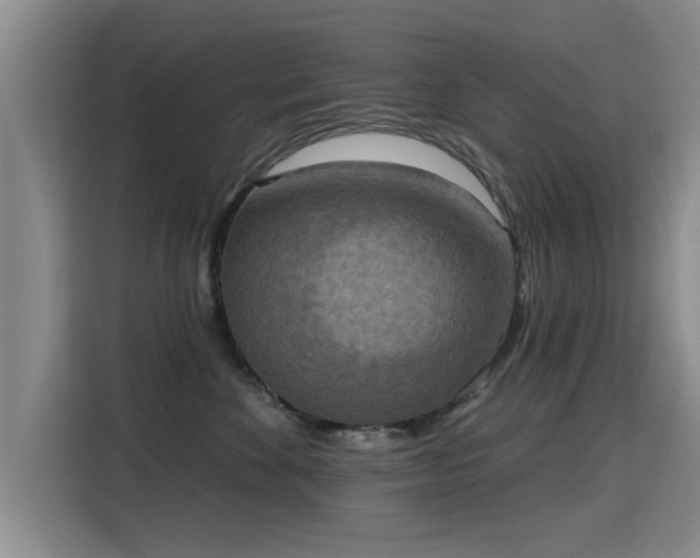 X0000115400524200911101515