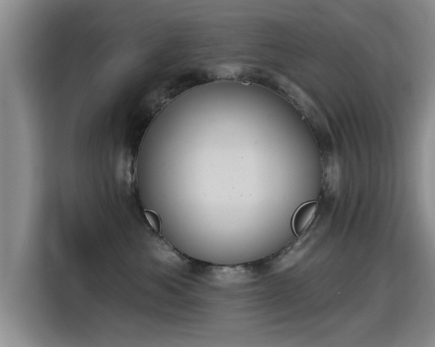 X0000115400525200911101515