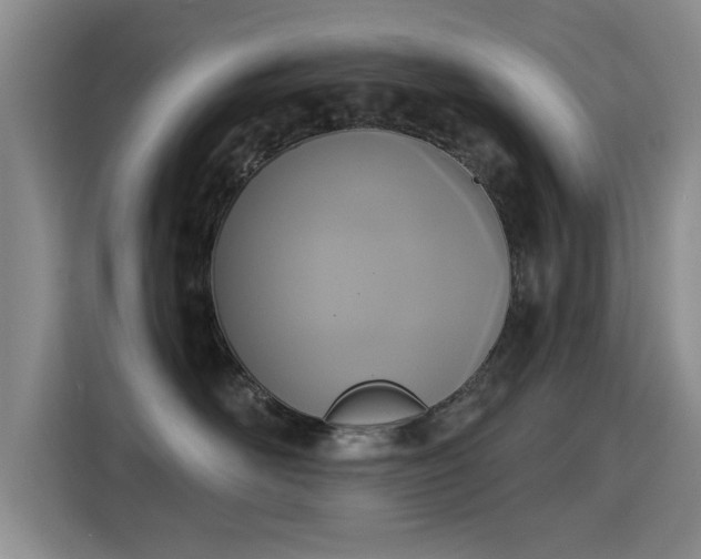 X0000115400526200911101515