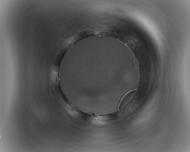 X0000115400527200911101515