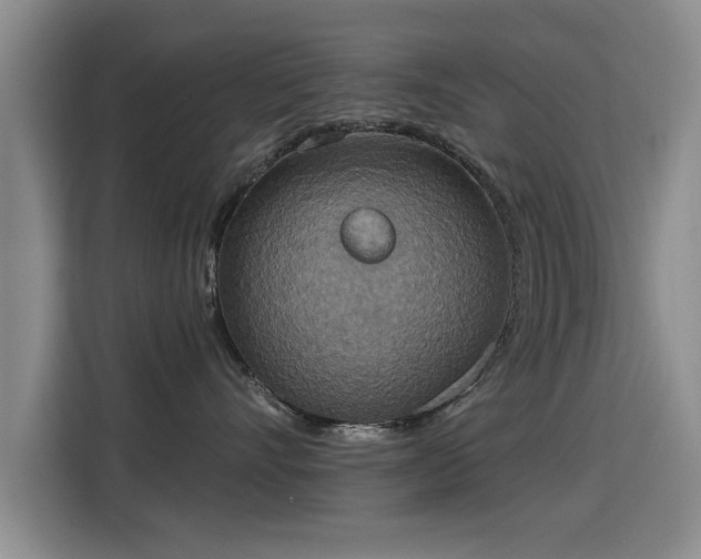 X0000115400528200911101515