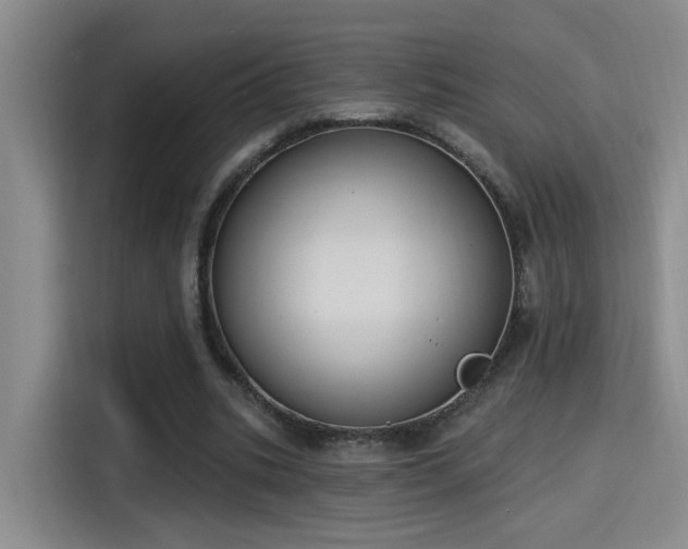 X0000115400535200911101514