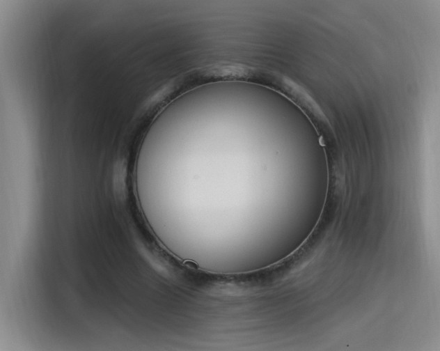 X0000115400538200911101514