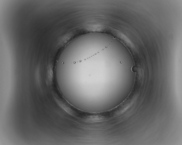 X0000115400541200911101514