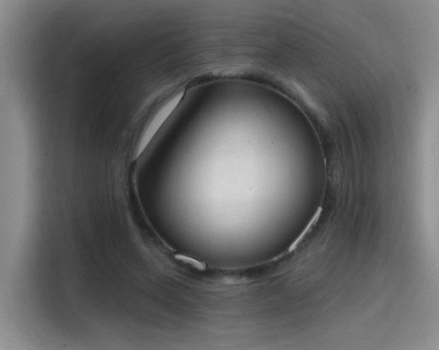 X0000115400543200911101514