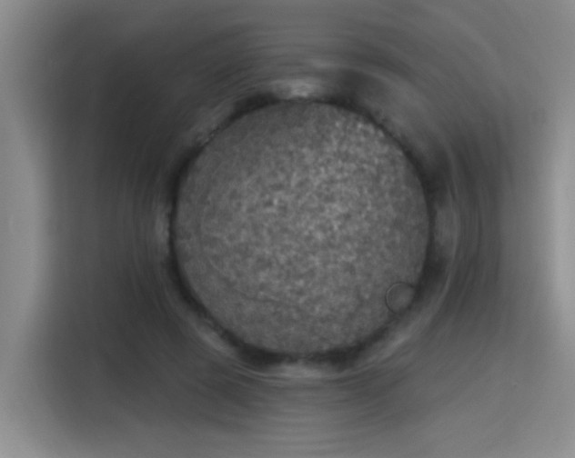 X0000115400545200911101514