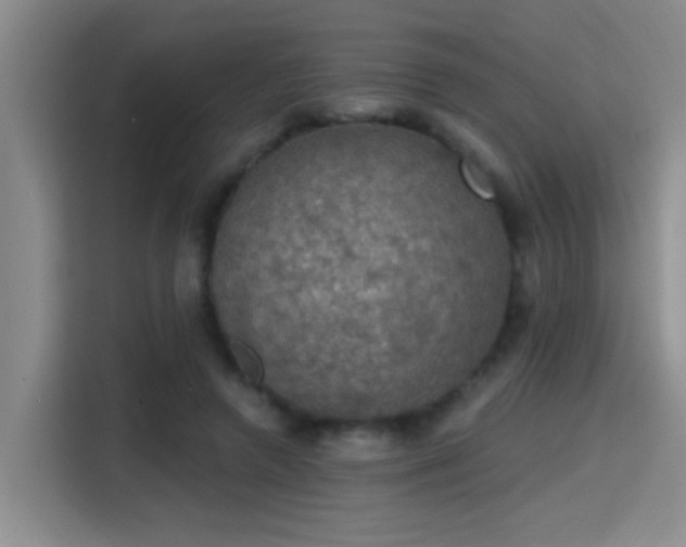 X0000115400546200911101514