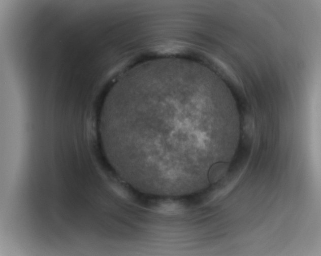 X0000115400547200911101514