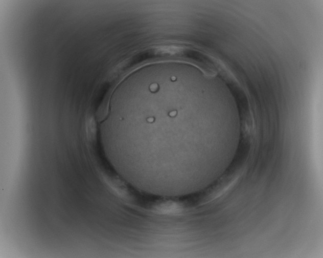 X0000115400551200911101514