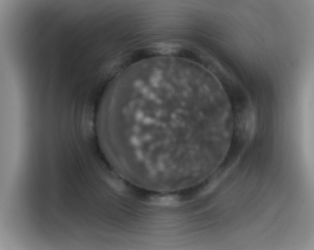 X0000115400553200911101514