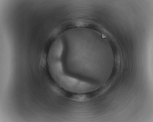 X0000115400554200911101514