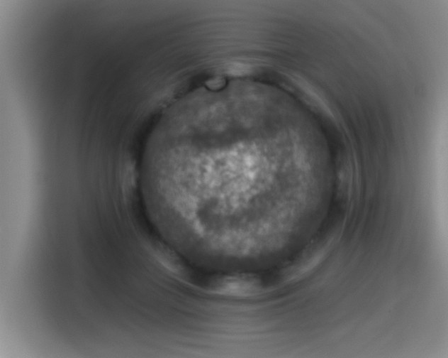 X0000115400555200911101514
