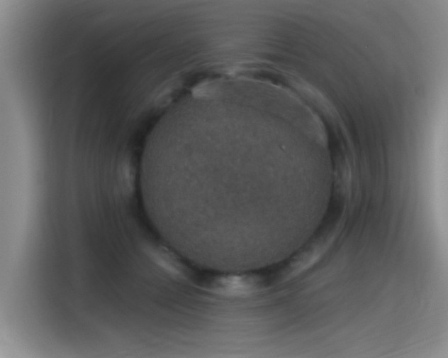 X0000115400558200911101514