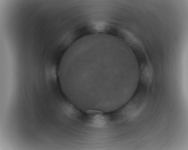 X0000115400562200911101514
