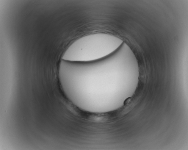 X0000115400563200911101514
