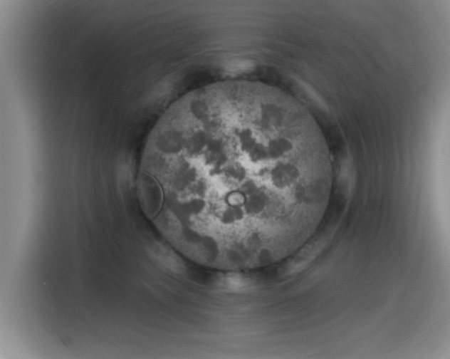 X0000115400565200911101514
