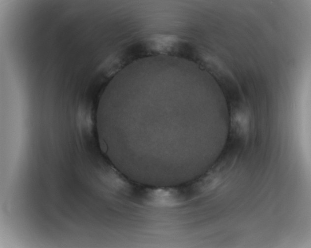 X0000115400566200911101514