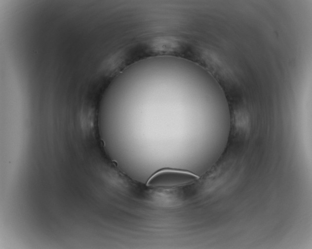 X0000115400567200911101514