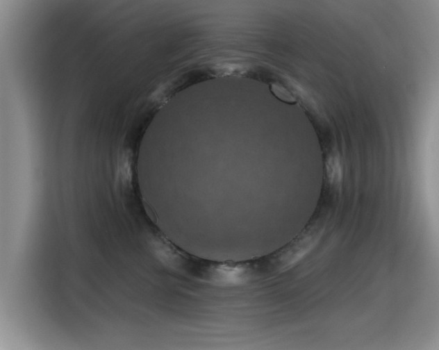 X0000115400570200911101514