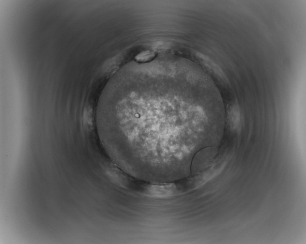 X0000115400571200911101514