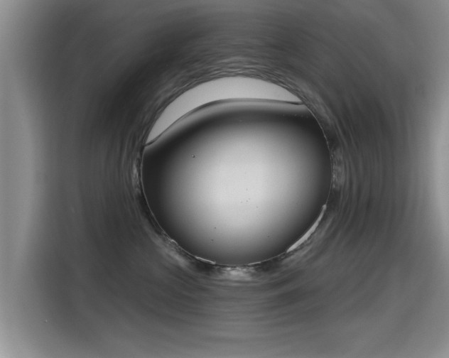 X0000115400573200911101515