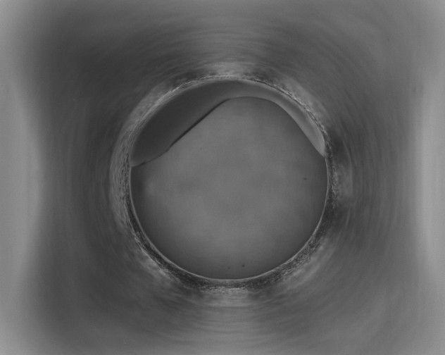 X0000115400577200911101514