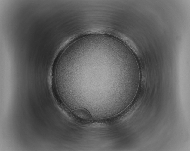 X0000115400578200911101514