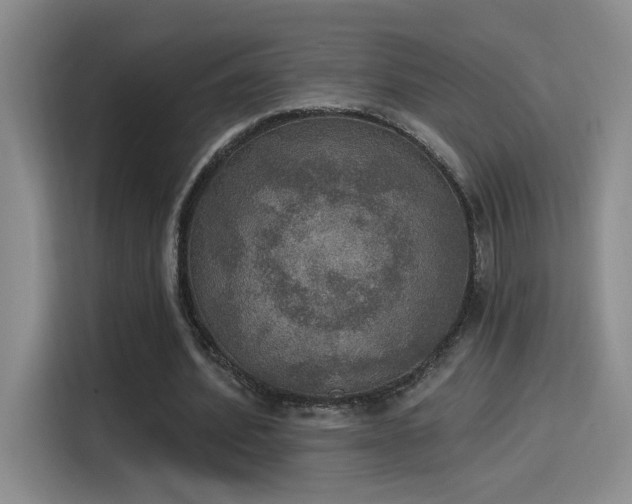 X0000115400580200911101514