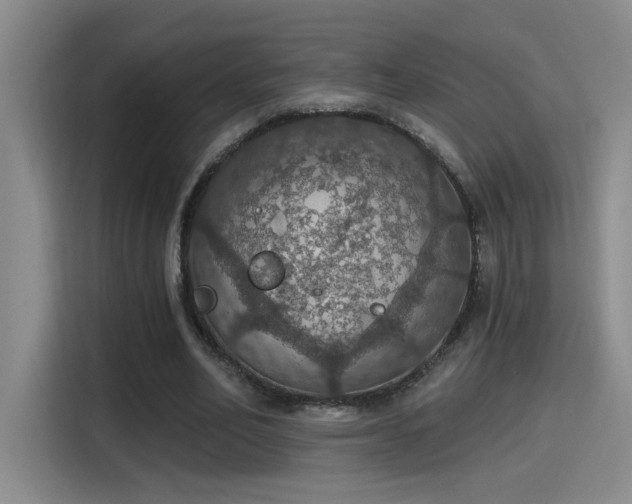 X0000115400582200911101514
