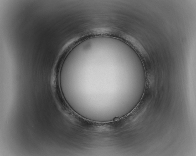 X0000115400583200911101514