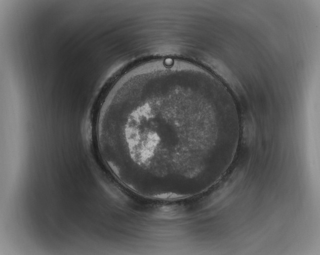 X0000115400584200911101514