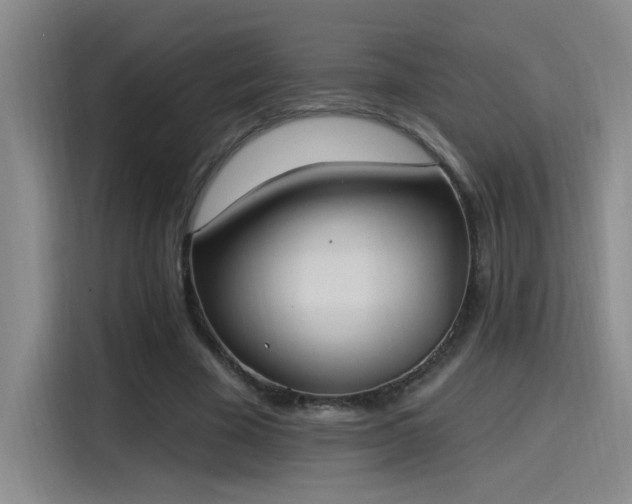 X0000115400585200911101514