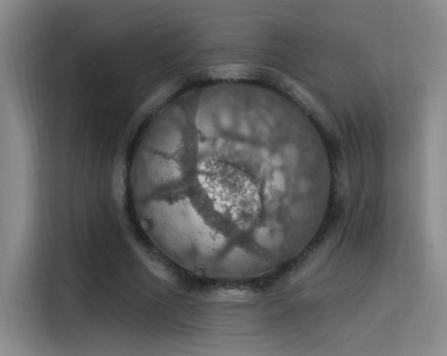 X0000115400586200911101514