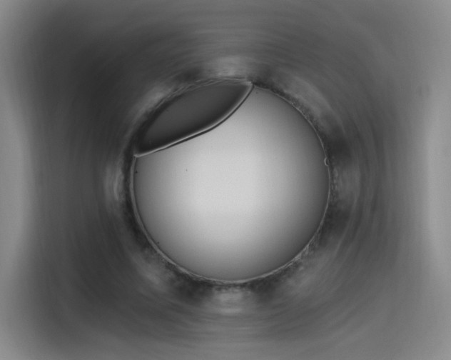 X0000115400587200911101514