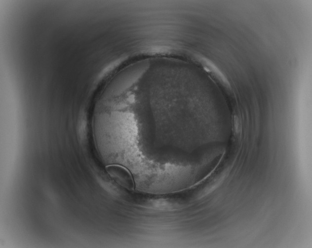 X0000115400588200911101514
