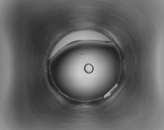 X0000115400589200911101514