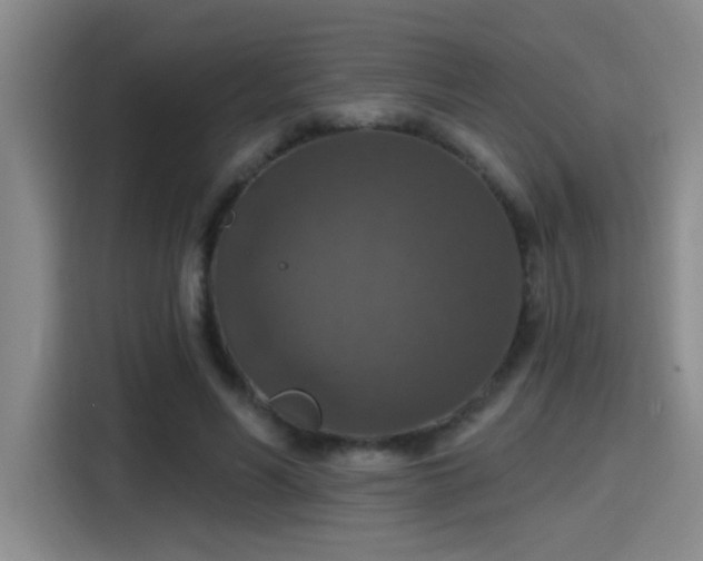 X0000115400590200911101514
