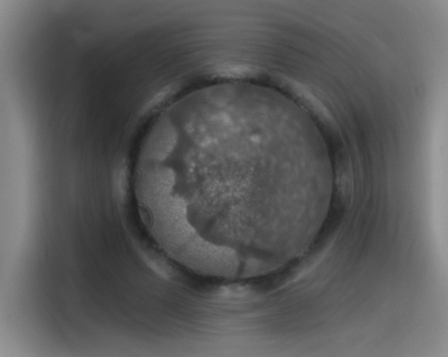 X0000115400591200911101514
