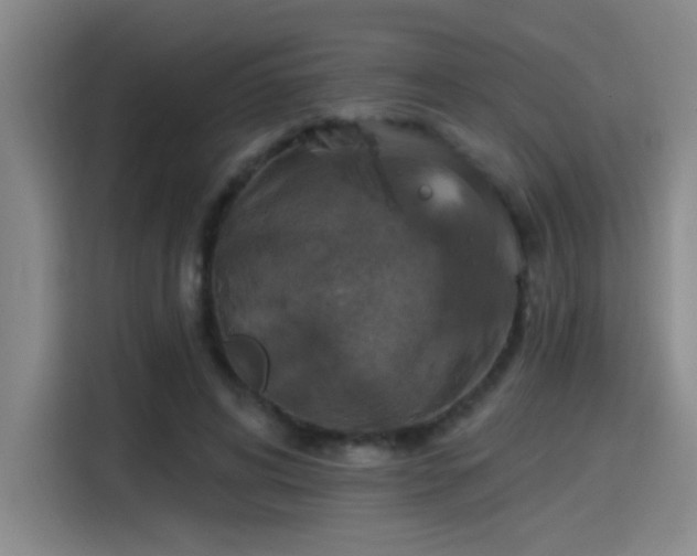 X0000115400592200911101514