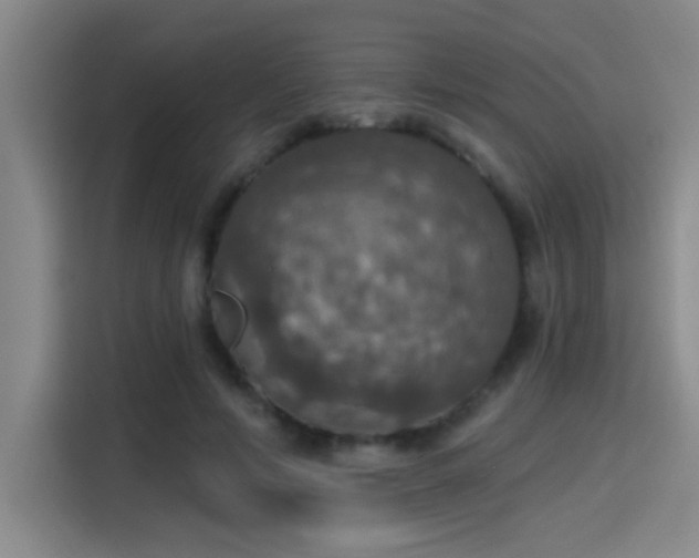 X0000115400594200911101514