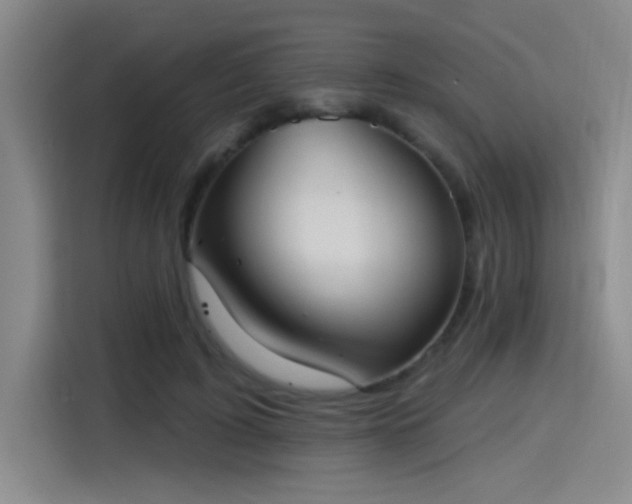 X0000115400595200911101514