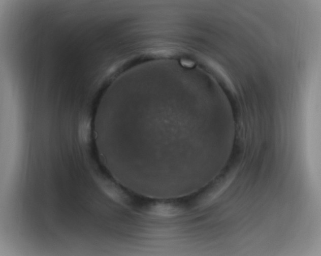 X0000115400596200911101514