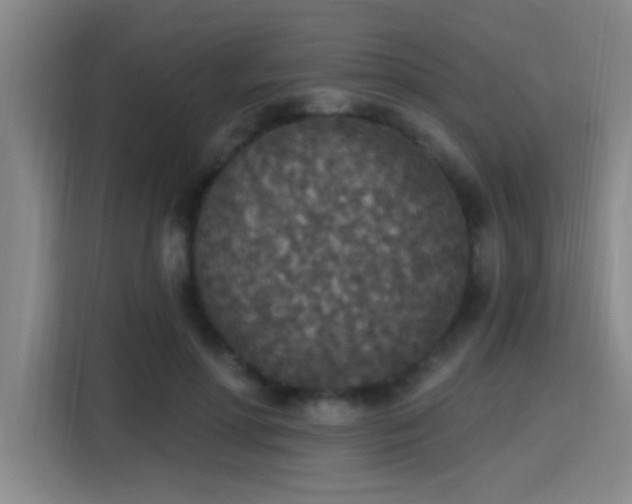 X0000115400598200911101514
