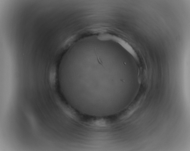 X0000115400600200911101514