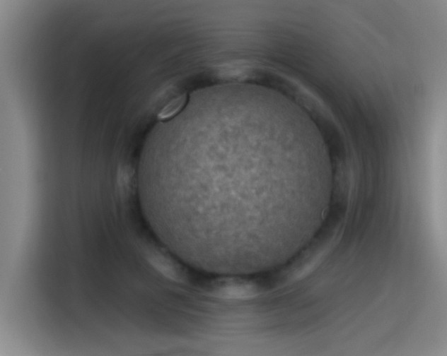 X0000115400601200911101514