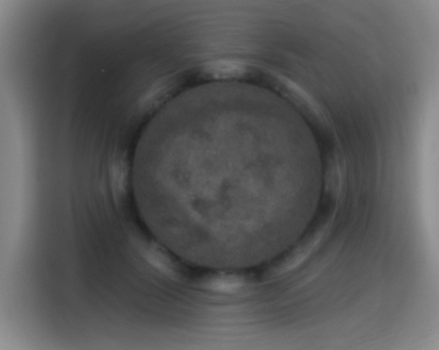 X0000115400604200911101514