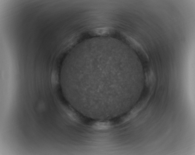 X0000115400606200911101514