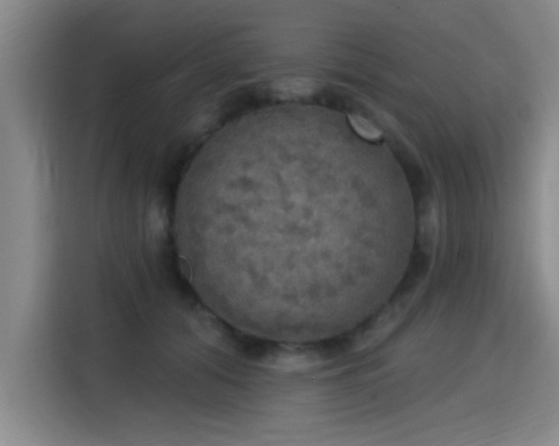X0000115400608200911101514