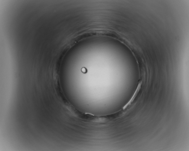 X0000115400609200911101514
