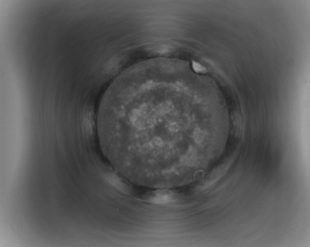 X0000115400612200911101513